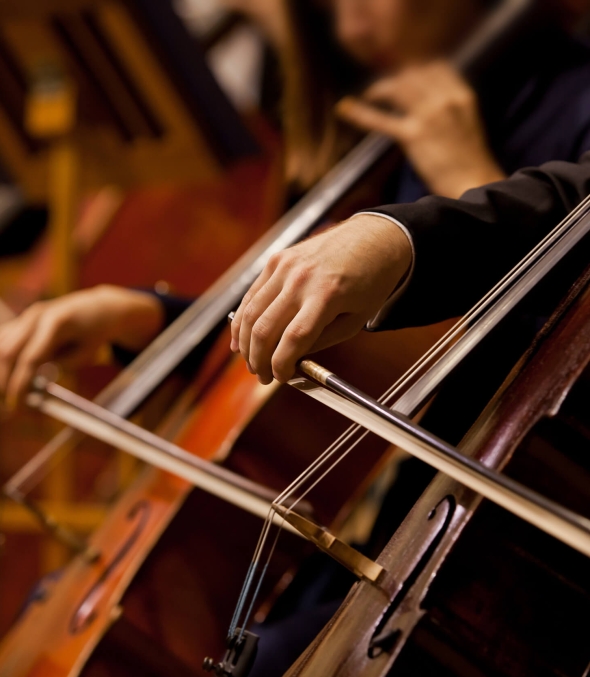 Two cellists playing cello.