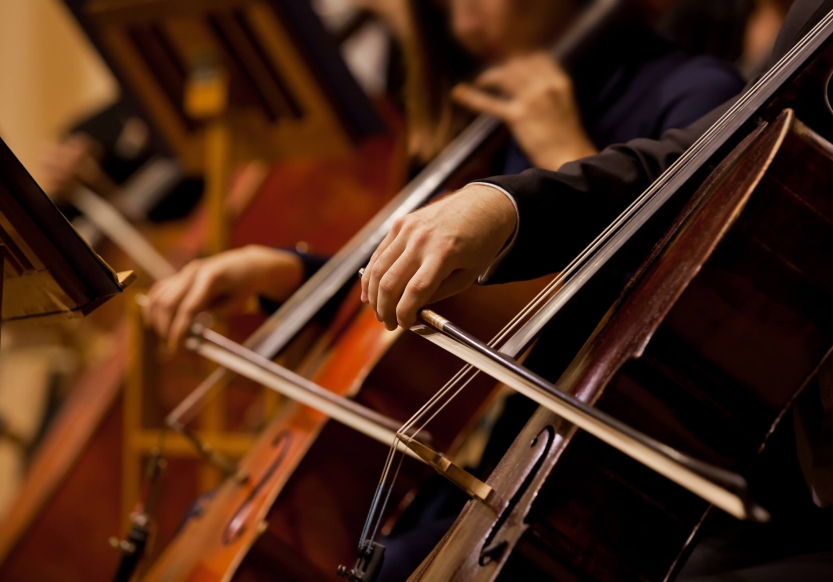 Two cellists playing cello.